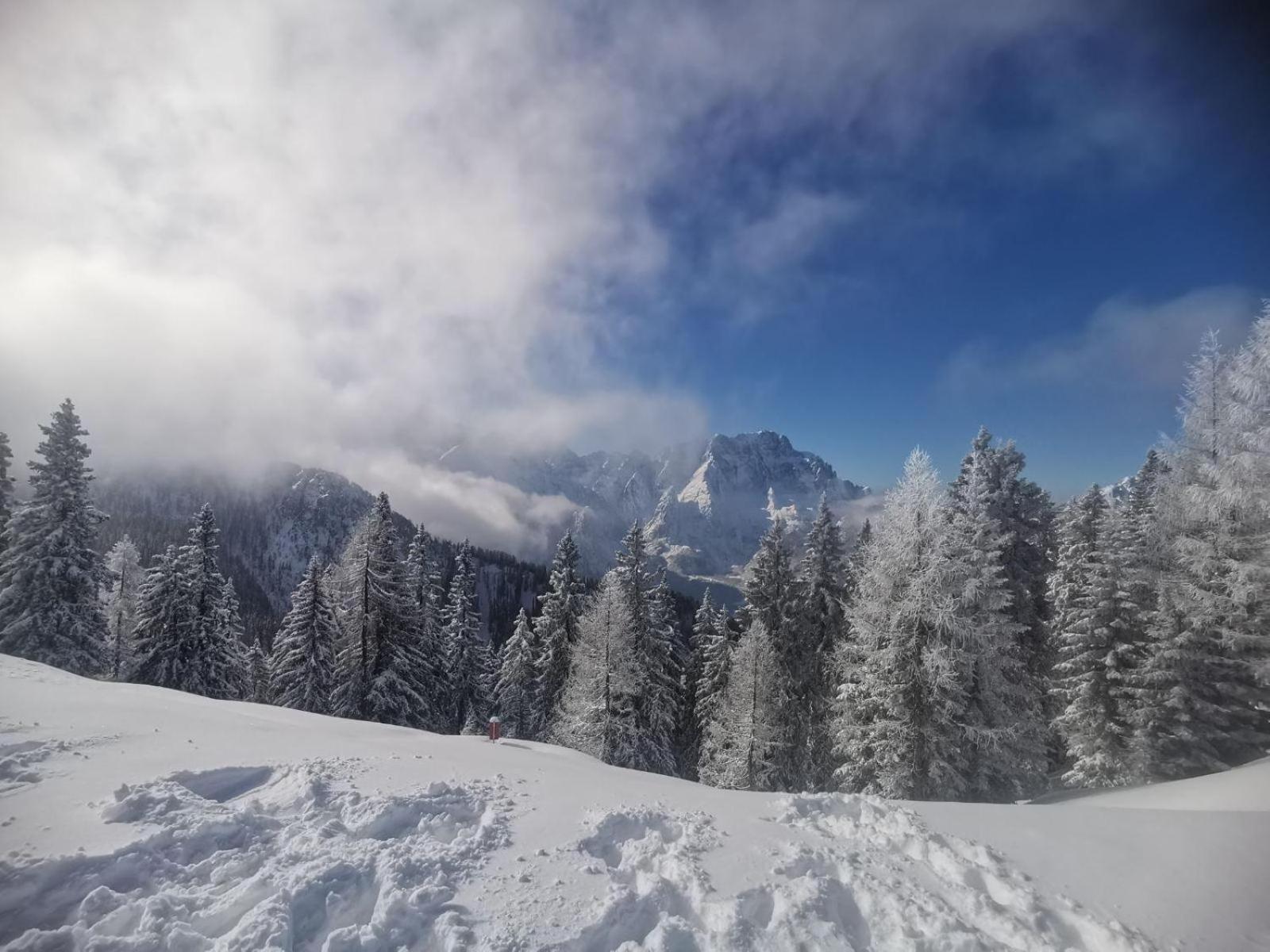 Al Casello Tarvisio Exteriör bild